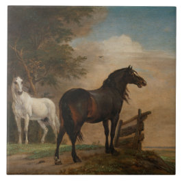 Dois Cavalos num Prado Perto de Porta (Paulus Pott