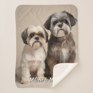 Dois cobertores personalizados de Pet com presente
