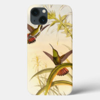 Dois coelhos coloridos com o objetivo da mesma flo