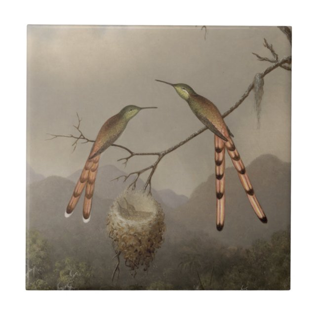 Dois colibris com seus jovens (Frente)