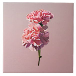 Dois Cravos Rosa