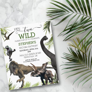 Dois Dinossauros Selvagens Tiranossauro Raptor Ani