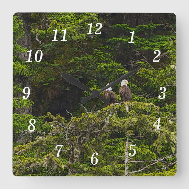 Dois Eagles Empoleirados Relógio De Parede (Frente)