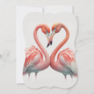 Dois Flamingo no Amor