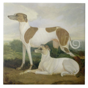 Dois galgos em uma paisagem (óleo em canvas)