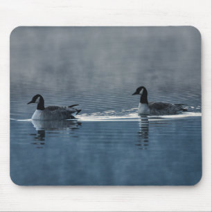 Dois gansos canadenses no lago do mouse Pad