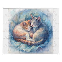 Dois gatos dormindo pacificamente juntos