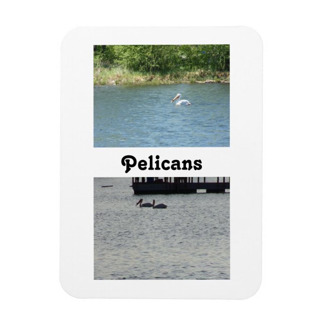 Dois ímã flexível pelicanos (Vertical)
