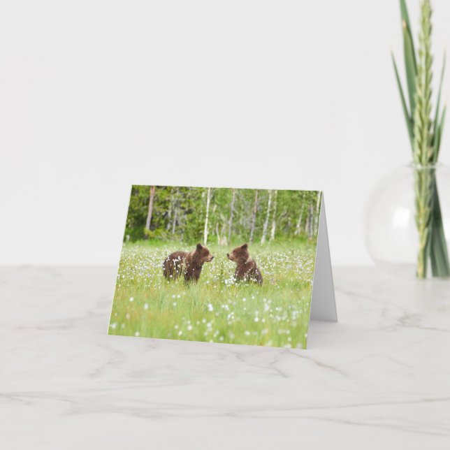 Dois jovens amigos de urso pardo dobraram o cartão (Frente)