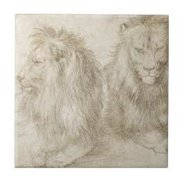 Dois leões assentados por Albrecht Durer