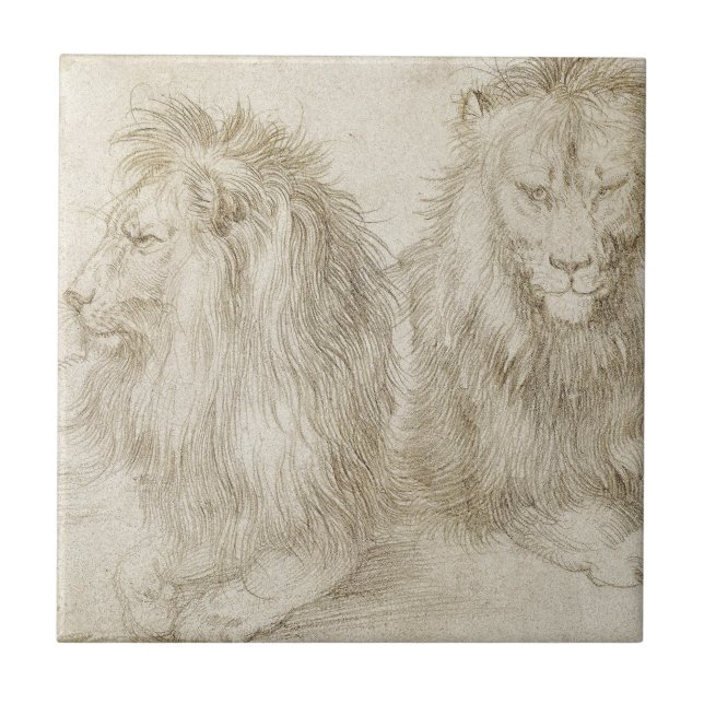 Dois leões assentados por Albrecht Durer (Frente)