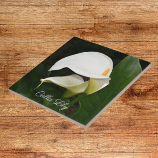 Dois Lírios Calla Brancos Floral