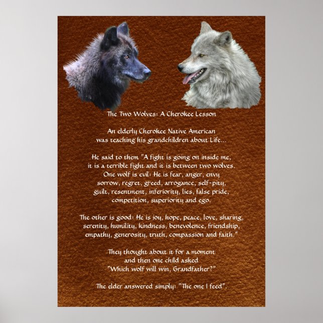 Dois lobos Cherokee Lesson Wildlife Poster (Frente)