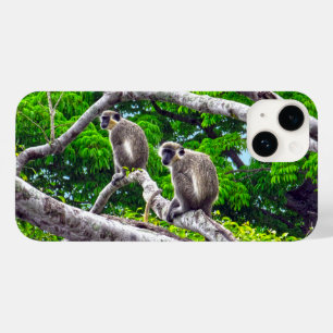 Dois Macacos Verdes Sentados Em Impressão De Árvor