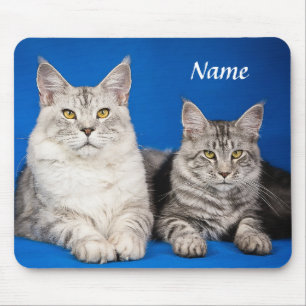 Dois Maine Coon Cats Blue Mousepad