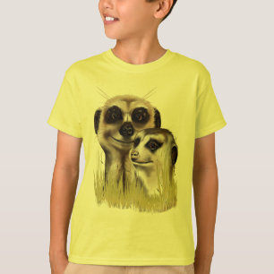 Dois Meerkats em camisas da grama