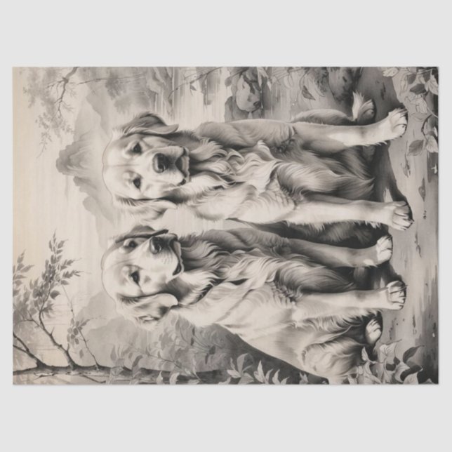 Dois Ouros - Cães de Retriever - Papel de Tecido R (Frente )