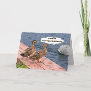 Dois Patos e um Cartão de Cauda Swan