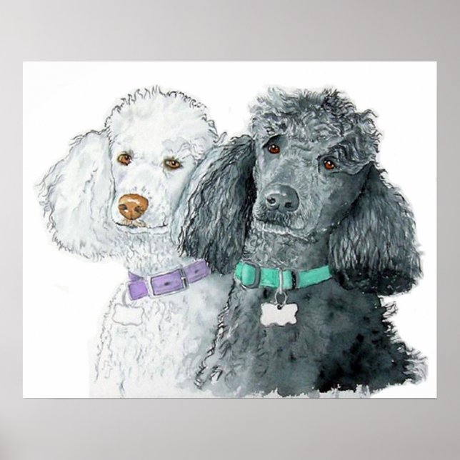 Dois Poodles Impressão (Frente)