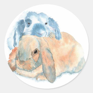 Dois Rabbits com adesivos