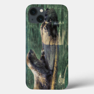 Dois River Otters Wildlife Art