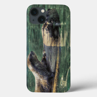 Dois River Otters Wildlife Art