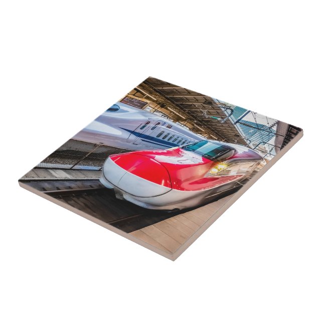 Dois Shinkansen na Estação de Tóquio (Lateral)