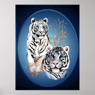 Dois Tigres Brancos - Poster Oval