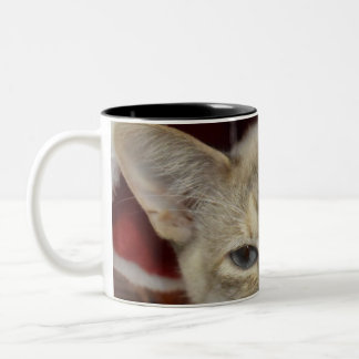 Dois Tons Caneca de Café com Gato Branco em Chapéu de Natal