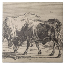 Dois Touro Lutando (por Paulus Potter)