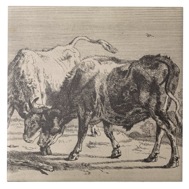 Dois Touro Lutando (por Paulus Potter) (Frente)