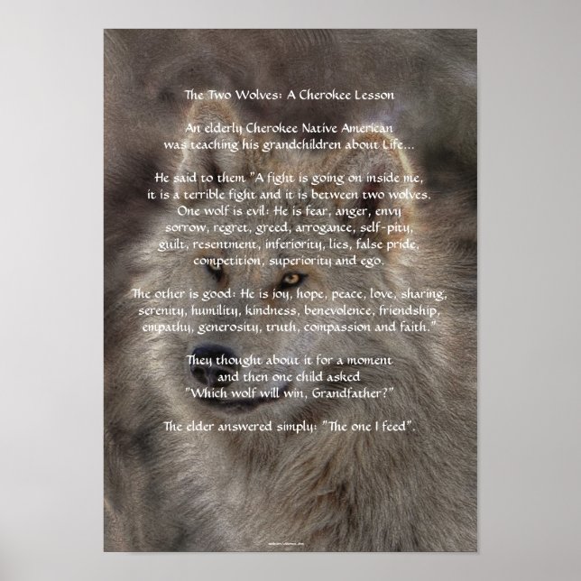 Dois WOLVES CHEROKEE TALE Art Poster (Frente)