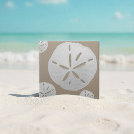 Dólar de Areia de Praia Tropical Bege e Branco Pro