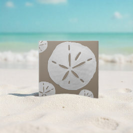 Dólar de Areia de Praia Tropical Bege Escuro e Bra
