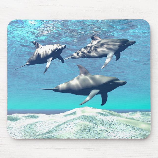 DOLFINS MOUSEPAD (Frente)