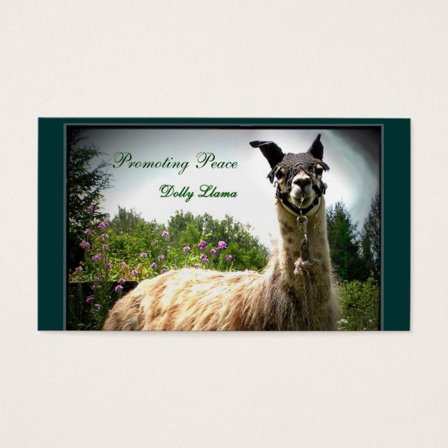 Dolly Llama Business Cards (Frente)
