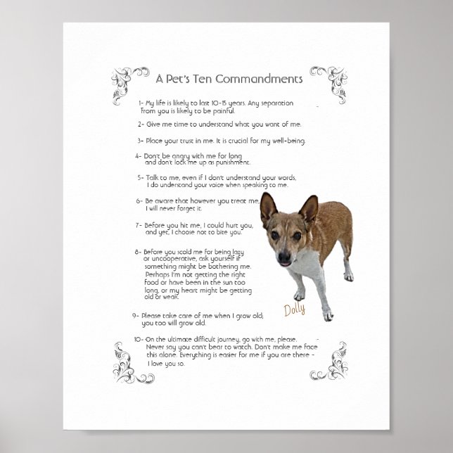 Dolly - Poster (Frente)