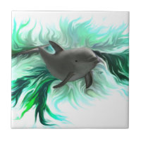 Dolphin Baby