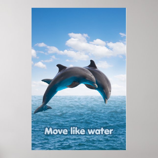 Dolphin Jump Ocean Wall Art Summer Splash Poster (Frente)