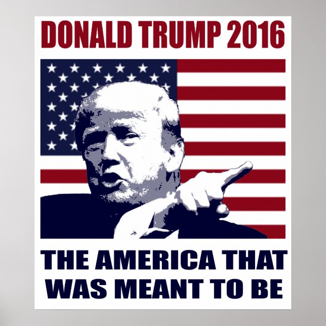 Donald Trump 2016 For President Poster (Frente)