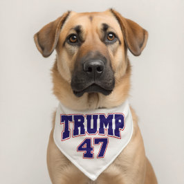Donald Trump 47