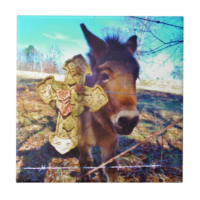 Donkey com Rosa Cross (Frente)