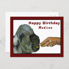 Donkey comendo um cartão postal da Apple