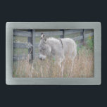 Donkey em um Campo de outono<br><div class="desc">Donkey em um campo de outono. Foto de Sandy Closs. Donkey Autumn, outono, fazenda "animais de fazenda" burros, burro, "burro giro", mula, </div>