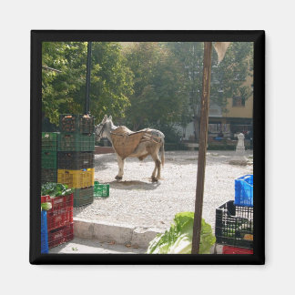 Donkey espanhol no mercado de Baza - imã