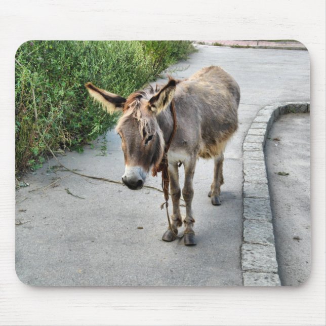 Donkey mousepad (Frente)