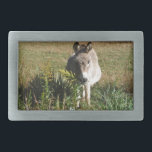 Donkey Picting Yellow Autumn Wildflower<br><div class="desc">Donkey Picking Yellow Autumn Wildflower Foto por Sandy Closs. Donkey Autumn, outono, fazenda "animais de fazenda" burros, burro, "burro giro", mula, Flores selvagens, "flor selvagem"</div>