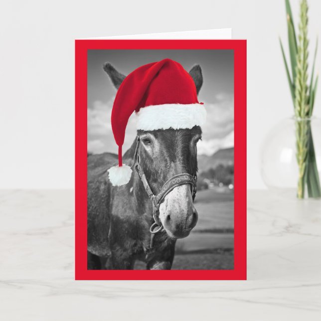 DONKEY VESTINDO CARTÃO DE NATAL DE Santa hat (Frente)