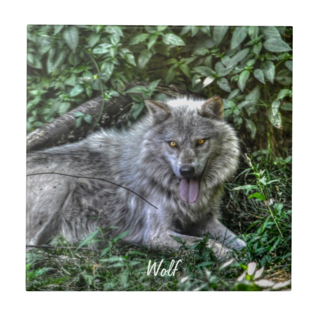 Dono de Cinzas Wolf 3 Wildlife Gift (Frente)