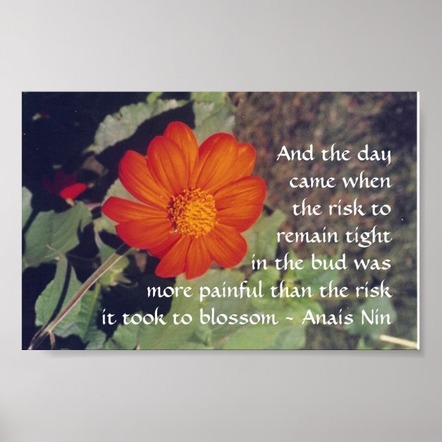 Dor e Risco - Anais Nin - poster (Frente)